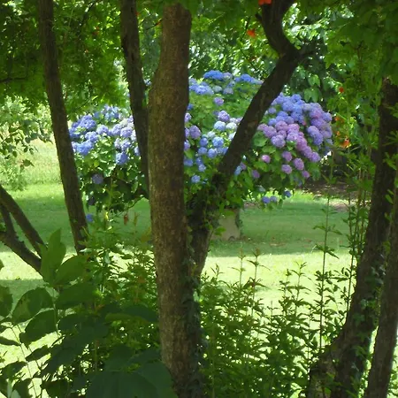 Cuei Di Baret Couette-café 3*