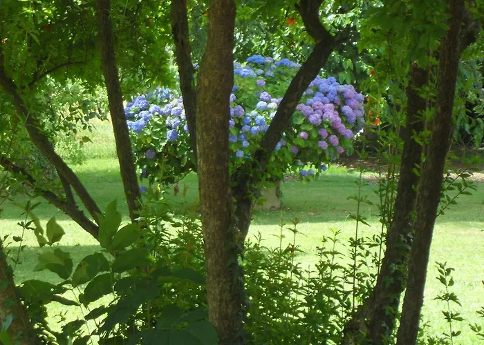 Cuei Di Baret Nocleg ze śniadaniem 3*