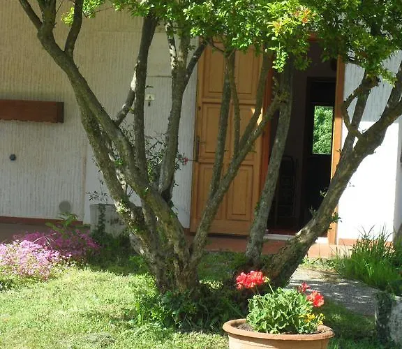 Cuei Di Baret Nocleg ze śniadaniem Tricesimo