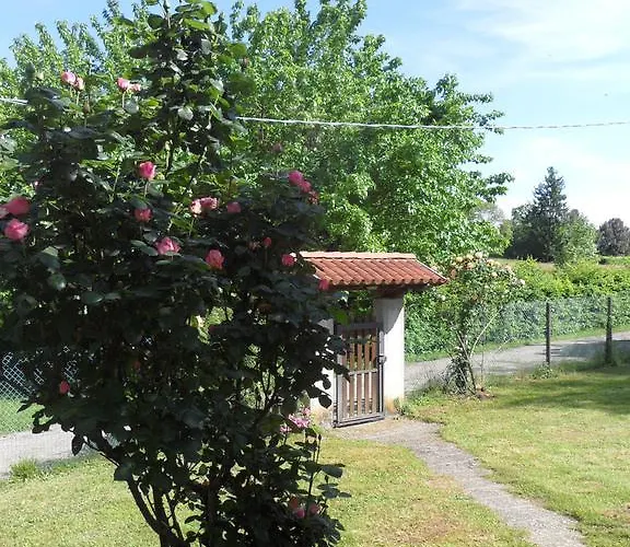 Cuei Di Baret Tricesimo